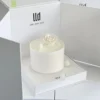 flat pack magnetic cake box easy packing 3